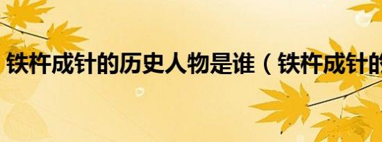 铁杵成针的历史人物是谁（铁杵成针的意思）