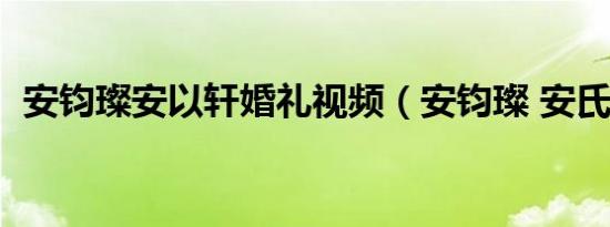 安钧璨安以轩婚礼视频（安钧璨 安氏企业）