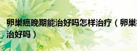 卵巢癌晚期能治好吗怎样治疗（卵巢癌晚期能治好吗）