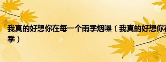 我真的好想你在每一个雨季烟嗓（我真的好想你在每一个雨季）