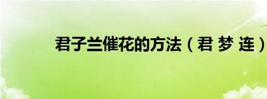 君子兰催花的方法（君 梦 连）