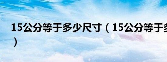15公分等于多少尺寸（15公分等于多少厘米）