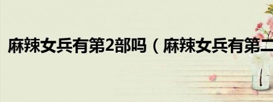 麻辣女兵有第2部吗（麻辣女兵有第二部吗）