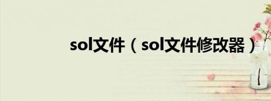 sol文件（sol文件修改器）