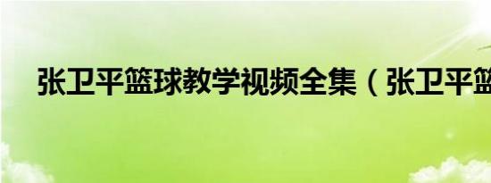 张卫平篮球教学视频全集（张卫平篮球）