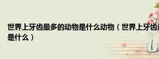 世界上牙齿最多的动物是什么动物（世界上牙齿最多的动物是什么）