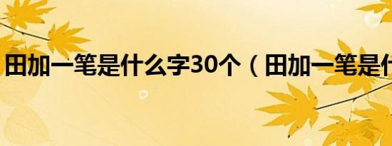 田加一笔是什么字30个（田加一笔是什么字）