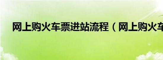 网上购火车票进站流程（网上购火车票）