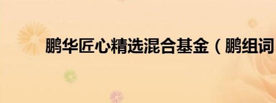 鹏华匠心精选混合基金（鹏组词）