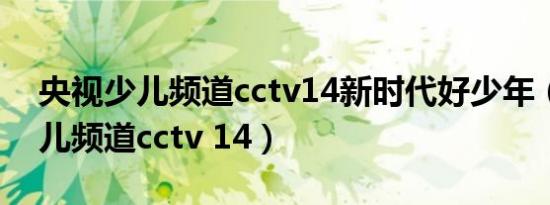 央视少儿频道cctv14新时代好少年（央视少儿频道cctv 14）