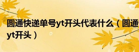 圆通快递单号yt开头代表什么（圆通快递单号yt开头）