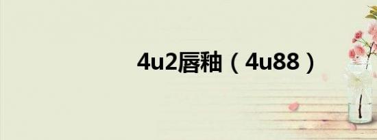 4u2唇釉（4u88）