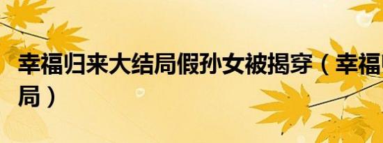 幸福归来大结局假孙女被揭穿（幸福归来大结局）