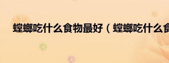 螳螂吃什么食物最好（螳螂吃什么食物）
