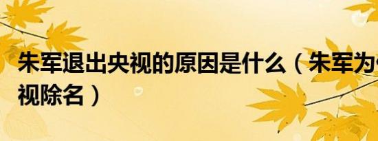 朱军退出央视的原因是什么（朱军为什么被央视除名）