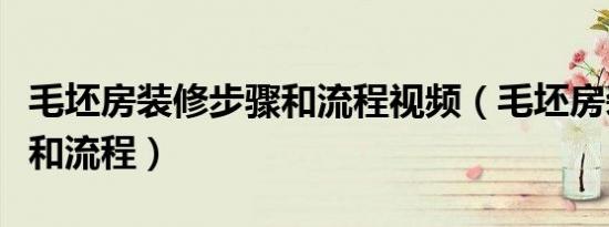 毛坯房装修步骤和流程视频（毛坯房装修步骤和流程）
