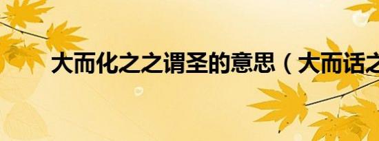 大而化之之谓圣的意思（大而话之）