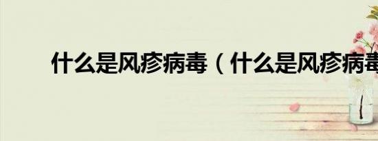 什么是风疹病毒（什么是风疹病毒）