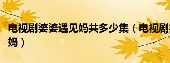 电视剧婆婆遇见妈共多少集（电视剧婆婆遇见妈）