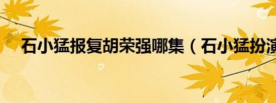 石小猛报复胡荣强哪集（石小猛扮演者）