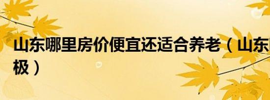 山东哪里房价便宜还适合养老（山东哪里有蹦极）