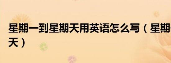 星期一到星期天用英语怎么写（星期一到星期天）