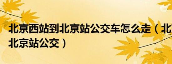 北京西站到北京站公交车怎么走（北京西站到北京站公交）