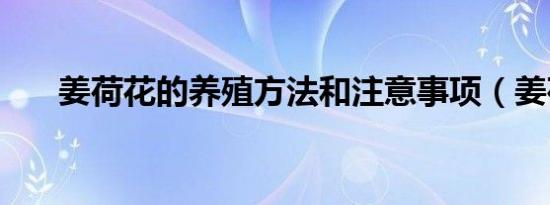 姜荷花的养殖方法和注意事项（姜荷）