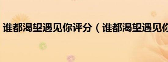 谁都渴望遇见你评分（谁都渴望遇见你评价）
