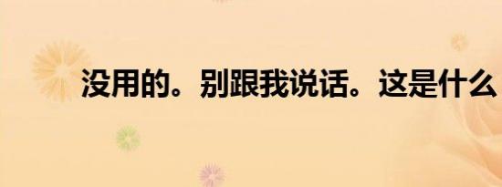 没用的。别跟我说话。这是什么？