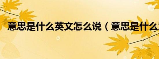 意思是什么英文怎么说（意思是什么意思）