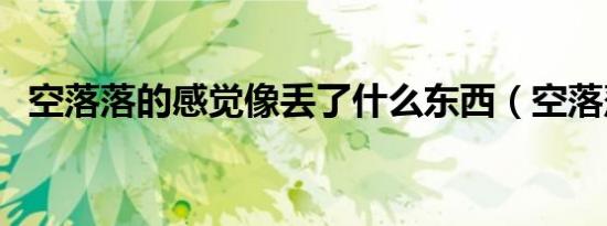 空落落的感觉像丢了什么东西（空落落的）