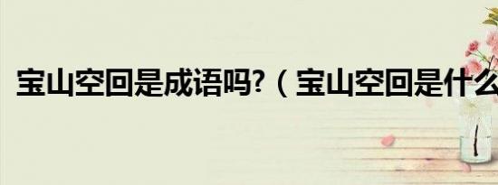 宝山空回是成语吗?（宝山空回是什么意思）