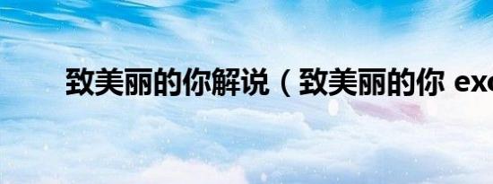 致美丽的你解说（致美丽的你 exo）