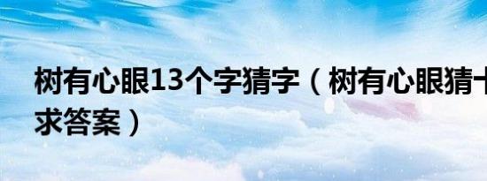 树有心眼13个字猜字（树有心眼猜十三个字求答案）