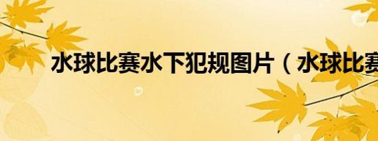 水球比赛水下犯规图片（水球比赛）