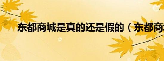 东都商城是真的还是假的（东都商城）