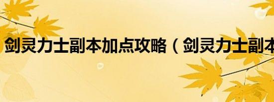 剑灵力士副本加点攻略（剑灵力士副本加点）