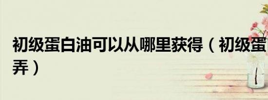 初级蛋白油可以从哪里获得（初级蛋白油怎么弄）