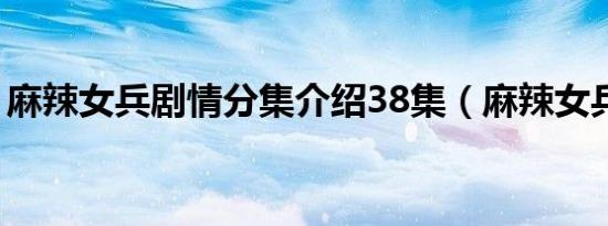 麻辣女兵剧情分集介绍38集（麻辣女兵剧情）