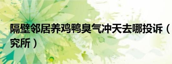 隔壁邻居养鸡鸭臭气冲天去哪投诉（gbl教研究所）