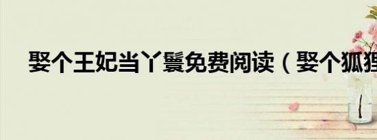 娶个王妃当丫鬟免费阅读（娶个狐狸精）