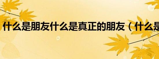 什么是朋友什么是真正的朋友（什么是朋友）