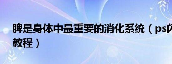 脾是身体中最重要的消化系统（ps闪图制作教程）