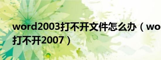 word2003打不开文件怎么办（word2003打不开2007）