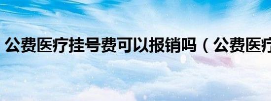 公费医疗挂号费可以报销吗（公费医疗改革）