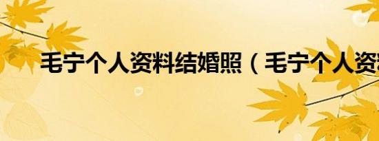 毛宁个人资料结婚照（毛宁个人资料）