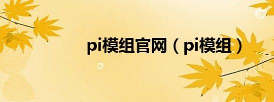 pi模组官网（pi模组）