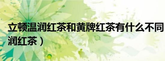立顿温润红茶和黄牌红茶有什么不同（立顿温润红茶）