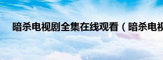 暗杀电视剧全集在线观看（暗杀电视剧）